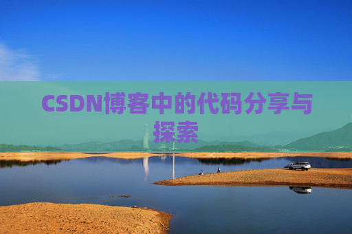 CSDN博客中的代码分享与探索